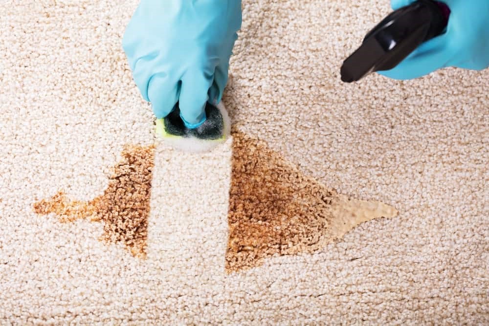 تمیز کردن موکت و قالیچه
